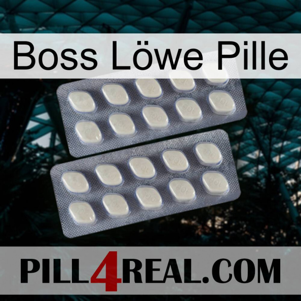 Boss Löwe Pille 07.jpg